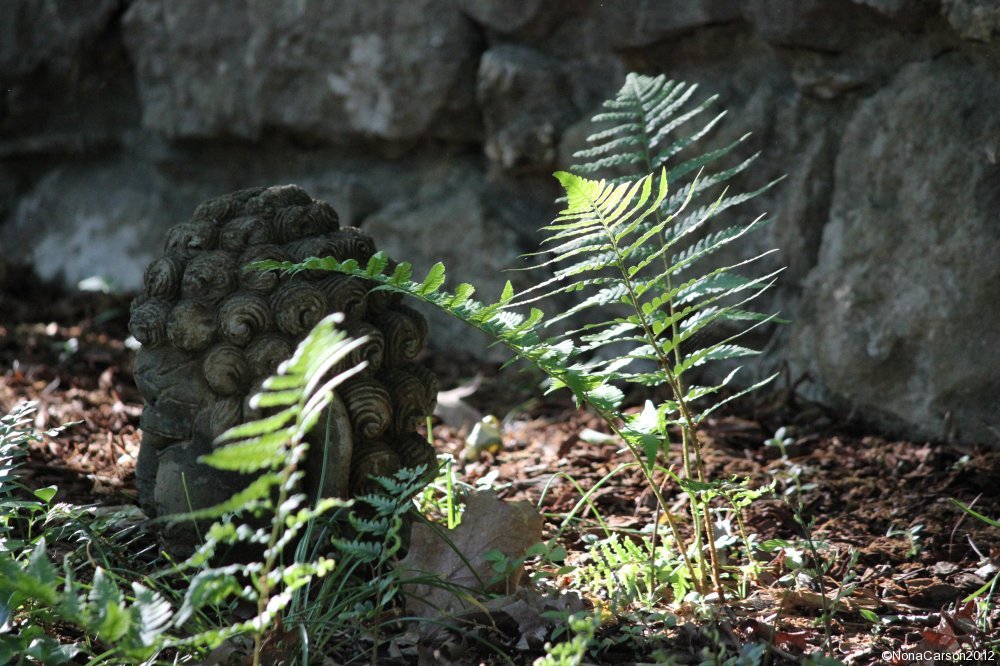 GardenBuddha