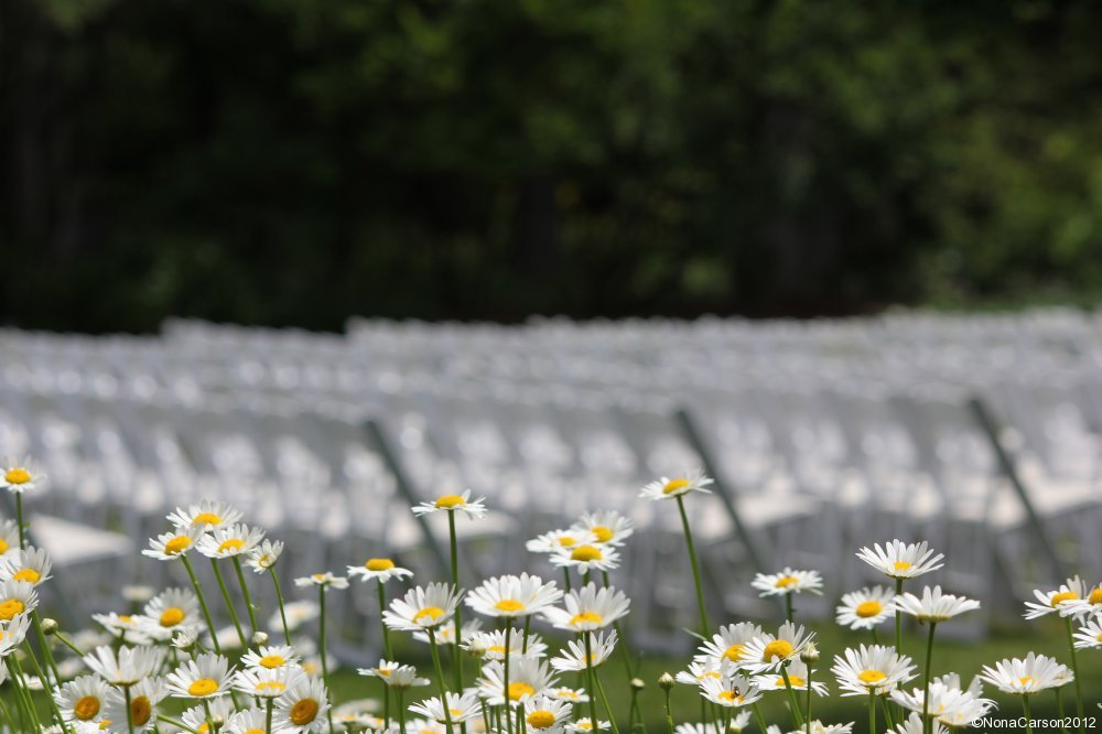 BotanicalGardenWedding4