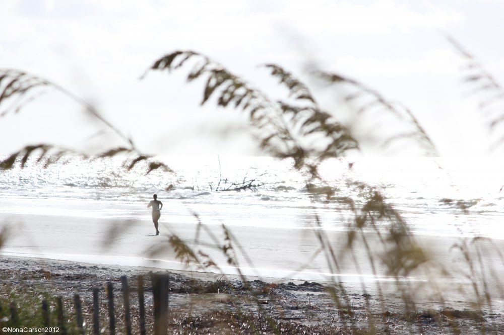 Hilton Head Runner