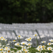 BotanicalGardenWedding4