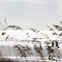 Hilton Head Couple